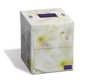 Tissue, facial,cubed, 2 ply,  white, 100 sheets per box,  