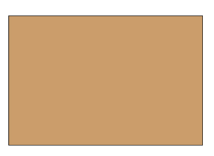 LABEL, 8.5 X 11" BLOCK OUT,  100/ROLL, KRAFT