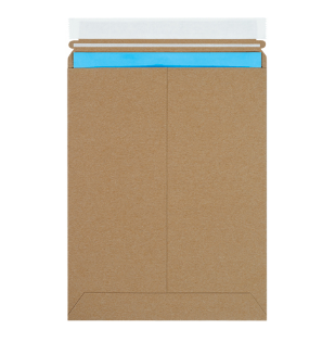 Stayflat, 9x11-1/2, self seal,  100 per case