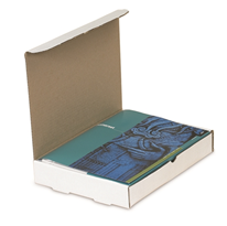 9 x 6 1/2 x 2 3/4" Protective Literature Mailer, 200# / 32