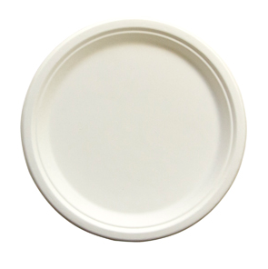 Plates, Paper, 10", Heavy Weight,Natural, 500/CASE