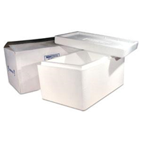 Foam Insulated Cooler 12"x12"x11 1/2" 2" Wall